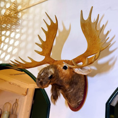 REX COELI (sanctum v2)