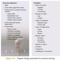 Reactive Training Manual Pdf Download 5 |WORK|