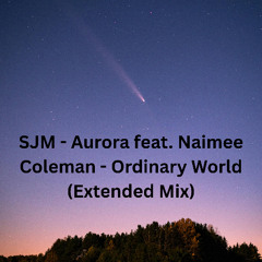 Aurora ft. Naimee Coleman - Ordinary World (Extended Remix) Free Download in description
