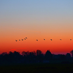 かぜがとおくをすぎるときに