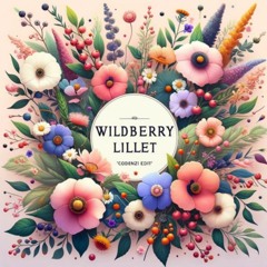 Nina Chuba - Wildberry Lillet (codenzi & virgin edit)