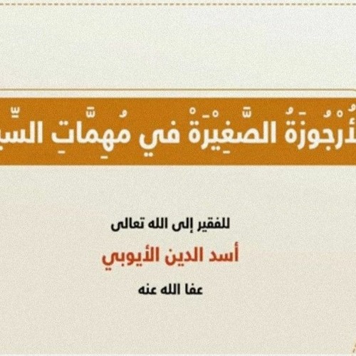 الأرجوزة الصغيرة في مهمات السيرة