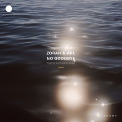 Zorah & ARI. - No Goodbye