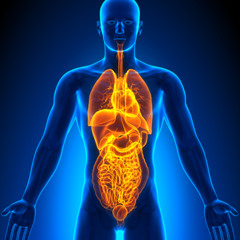 Sparta Internal Base