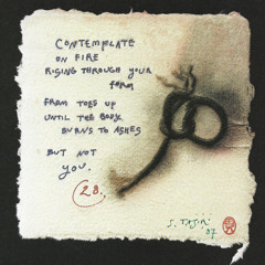 Nr 36 Fire, imagine (1998)