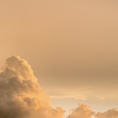 what if you love someone