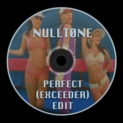 Mason vs. Princess Superstar - Perfect (Exceeder) [NULLTONE EDIT]