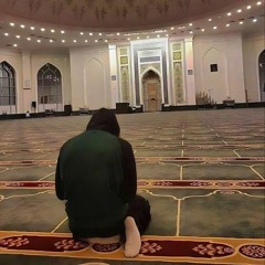 تـلاوات نديّة 🕊️