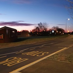 Bus Stops