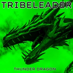 TRIBELEADER - SOUL EVOLVE [Instrumental]