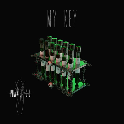 MY KEY Praxis 13.5 #10