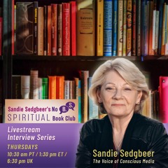 The NO BS Spiritual Book Club Meets Vish Chatterji