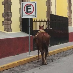 L’Enrique - Tormenta pasajera (Preview)