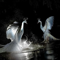 colliding _realities