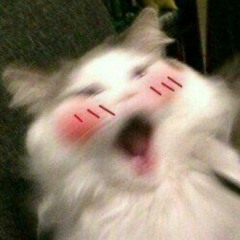 Freakshow - Punkinloveee (sped up + pitched)