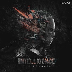 Intelligence - The Bouncer