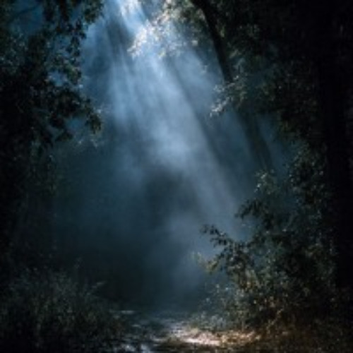 A Light in The Darkness