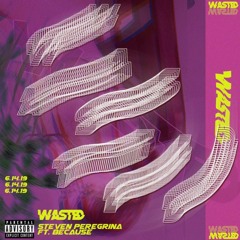 Steven Peregrina - Wasted (feat. Because)