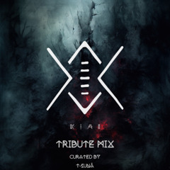 Kiri Tribute Mix - Compiled and Mixed by T-Sunâ