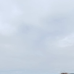 look at the sun (not me)