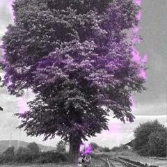 Prea Multi Bani (feat. awaken)