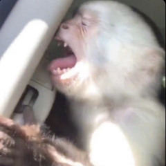 You got that act right