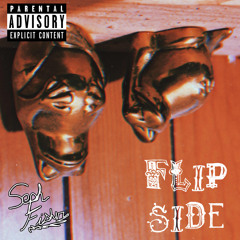 Flip Side
