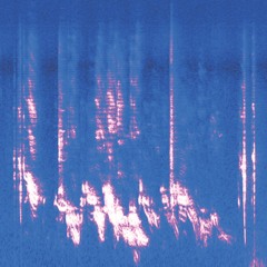 KOORLBARDI 0.46