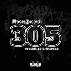Project 305