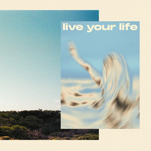Mr Tout Le Monde - Live Your Life