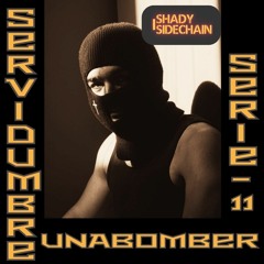 SERVIDUMBRE SERIE 11 - UNABOMBER