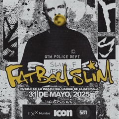 Pavlo x Fatboy Slim Gt
