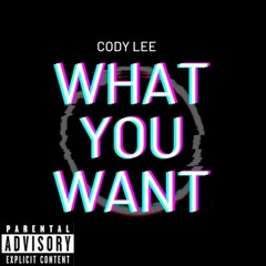 CODY LEE What You Want (prod by Don P)