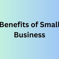 Benefits of small business | Milad Oskouie
