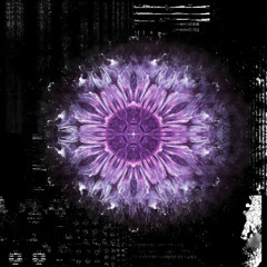 SC DNB 2025