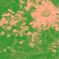 Smalltown Beat [013] - Nataša