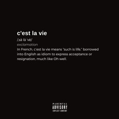 C'est la vie feat. The Narcissist (prod. by Snazzy_Q)