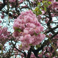 19. 'Round my Head (prod. redondo kid)