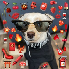 S.U.K.I. (Shut Up & Kick It)