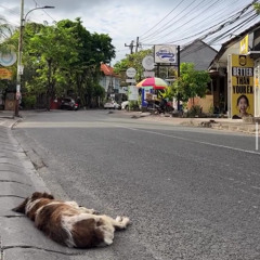 Ep29 House Tuesday / LOVE BALI VIBE