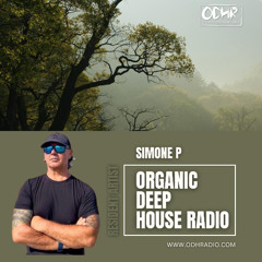 Vol.#028 November Deep House Mix  Exclusive 4 ODHR   by Simone P