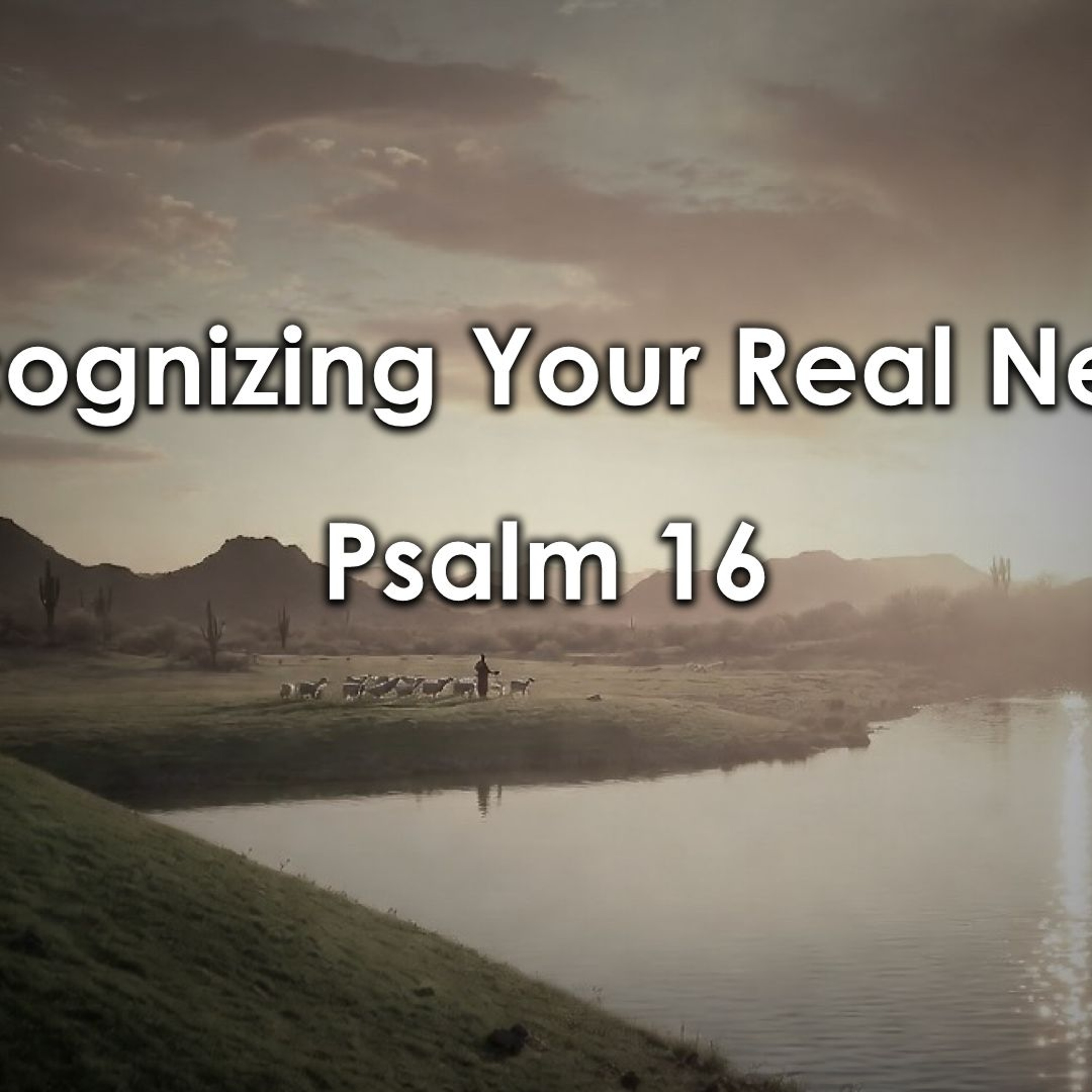 06.14.26 Recognizing Your Real Need episode artwork