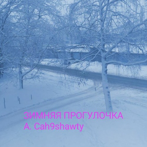 Зимняя Прогулочка