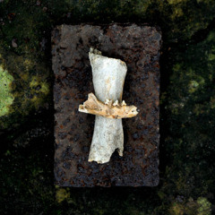 NOMADIC RITUALS -  NOTHING LEFT TO CALL HOME - Recorded & Mixed