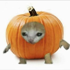 u never loved me thats why i left