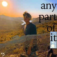 any part of it