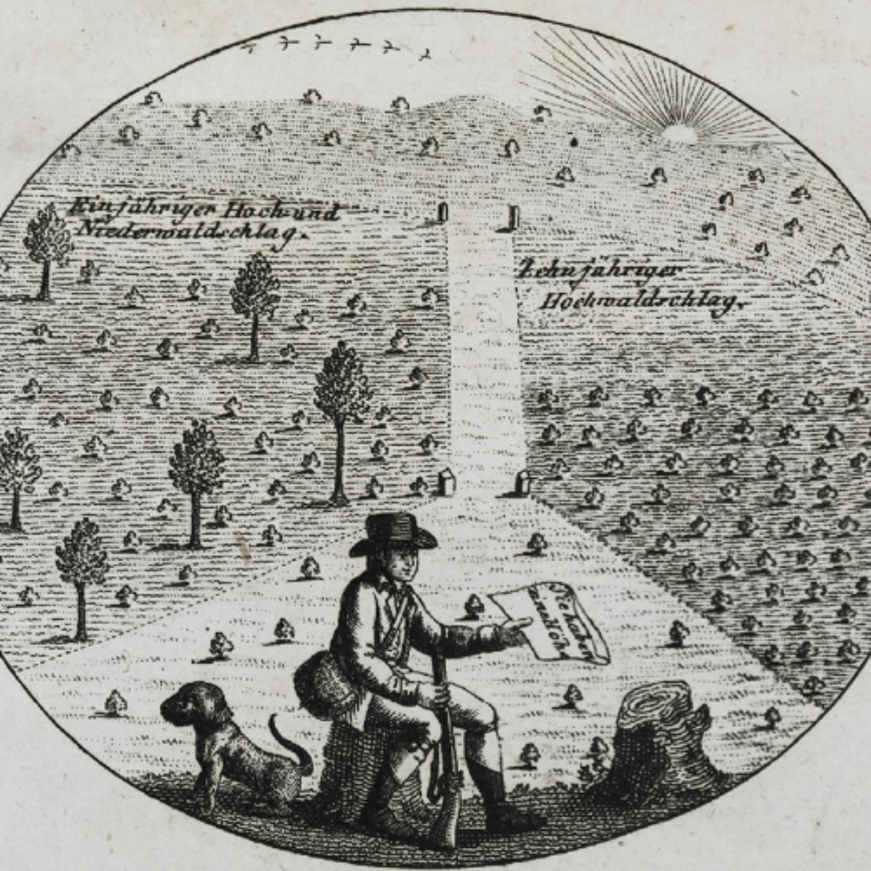 Episode 422: Bargain Bin Futures