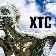 STE MAC -XTC- RADIO -EDIT