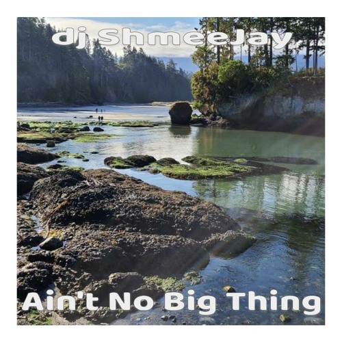 dj ShmeeJay - Ain't No Big Thing
