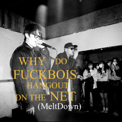 WHY DO FUCKBOIS HANGOUT ON THE NET(remix)